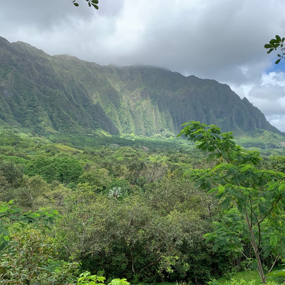 Meet your Posher, Brittney